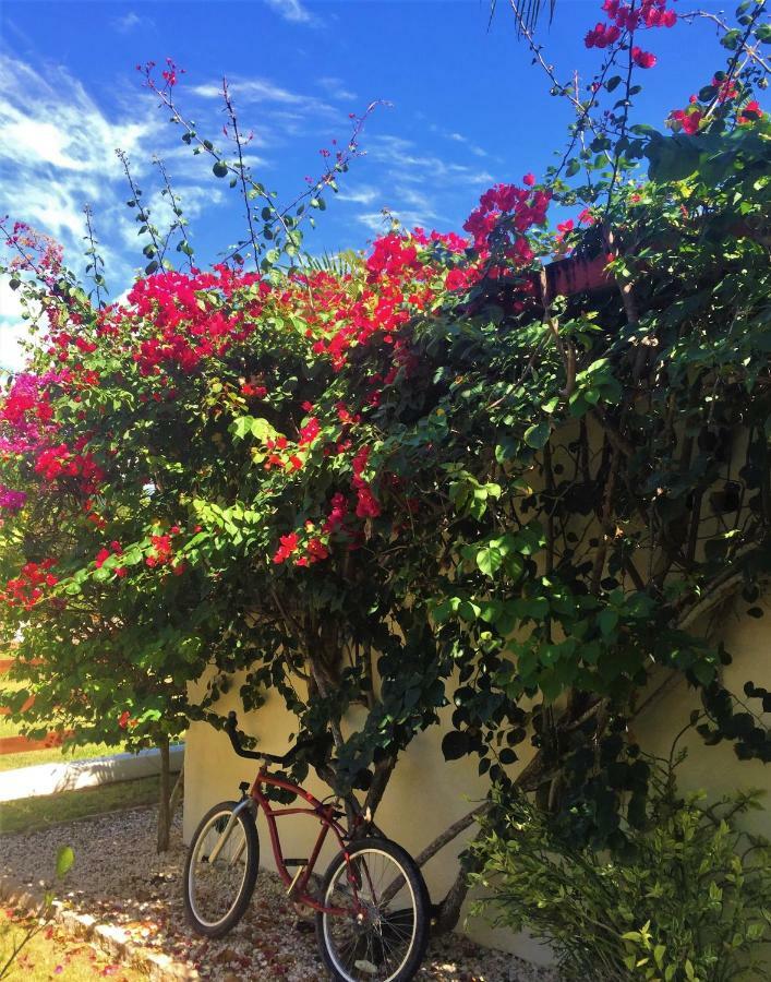 Royale Manor Βίλα Corozal Εξωτερικό φωτογραφία